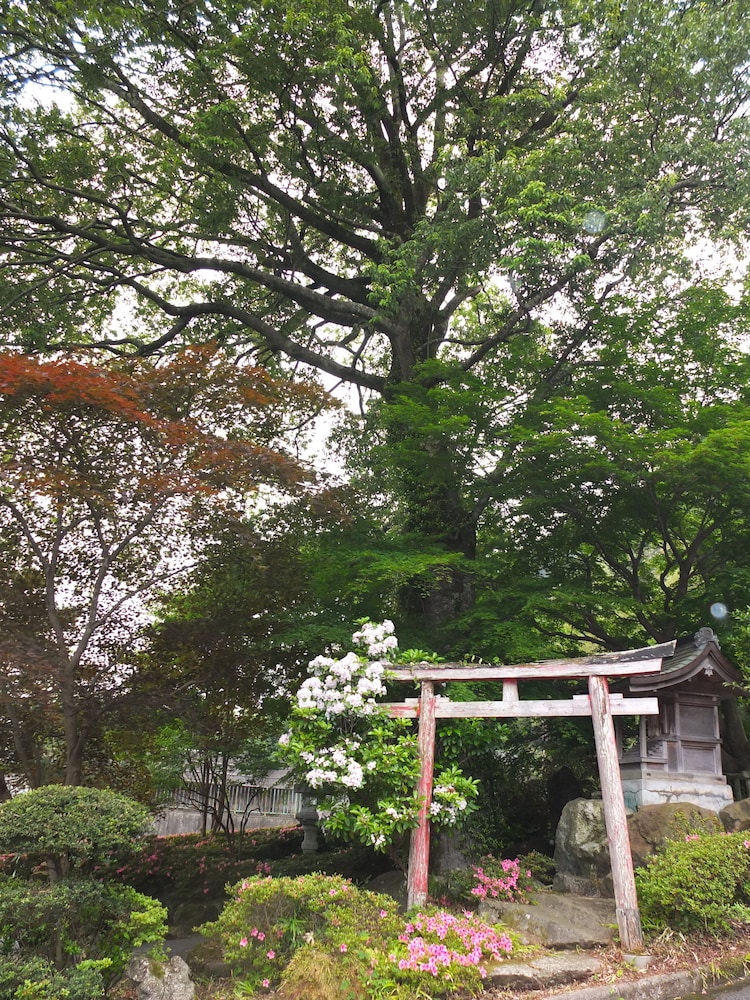 ホテル大滝 日光