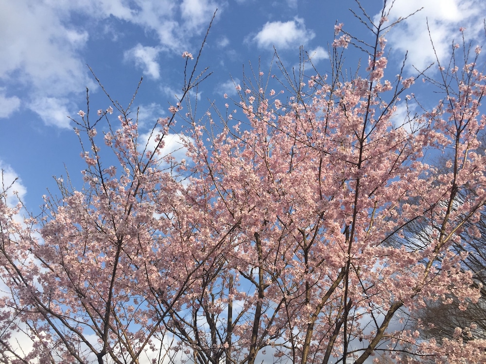 鬼怒川温泉 絶景の宿 佳祥坊福松 日光