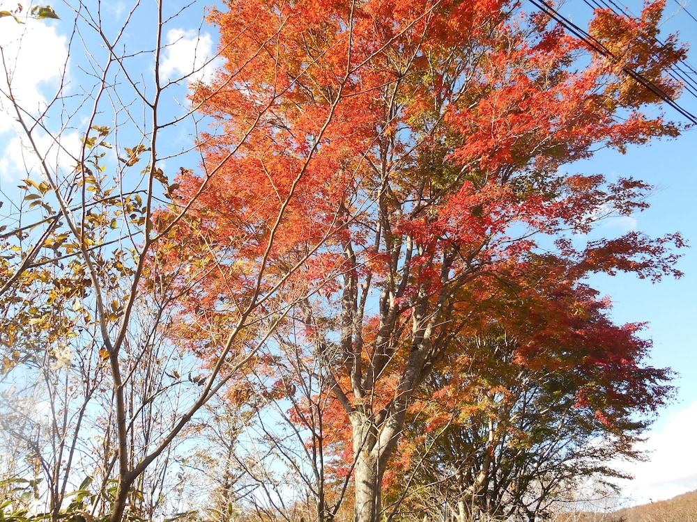 鬼怒川温泉 絶景の宿 佳祥坊福松 日光