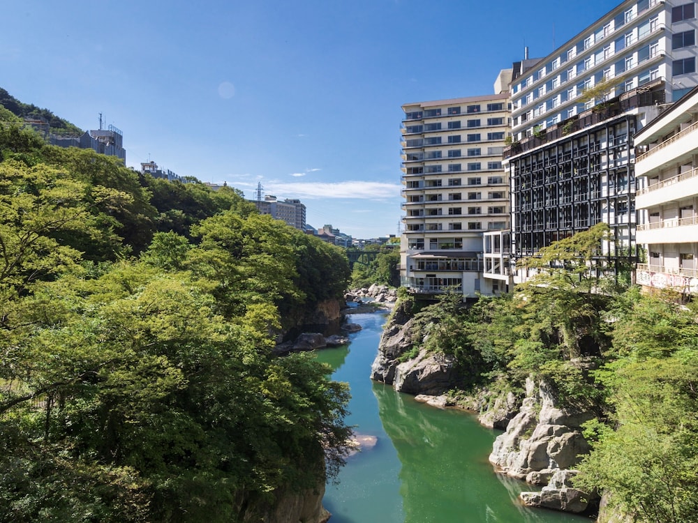 鬼怒川プラザホテル 日光