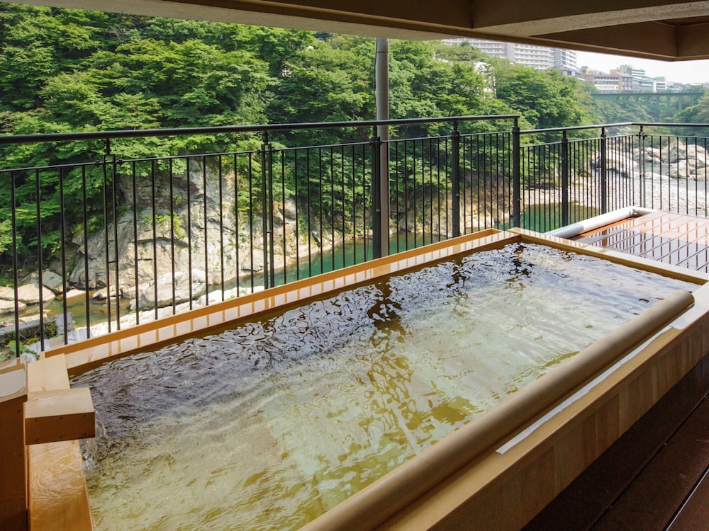鬼怒川プラザホテル 日光