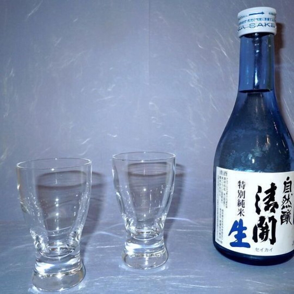 ホテル清晃苑 日光