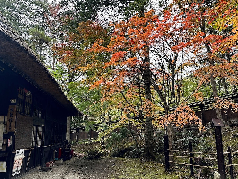 彩り湯かしき 花と華 日光