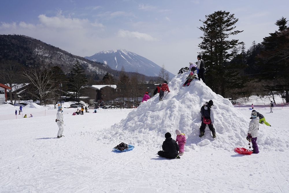 日光 アストリア ホテル 日光