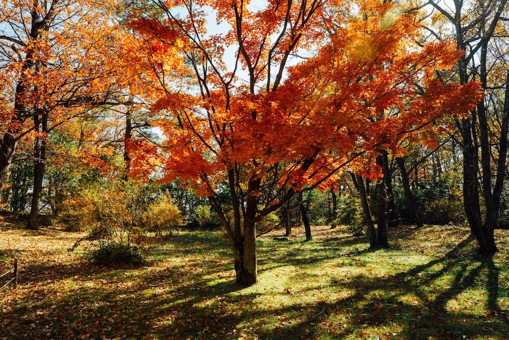 THE KEY HIGHLAND NASU 日光