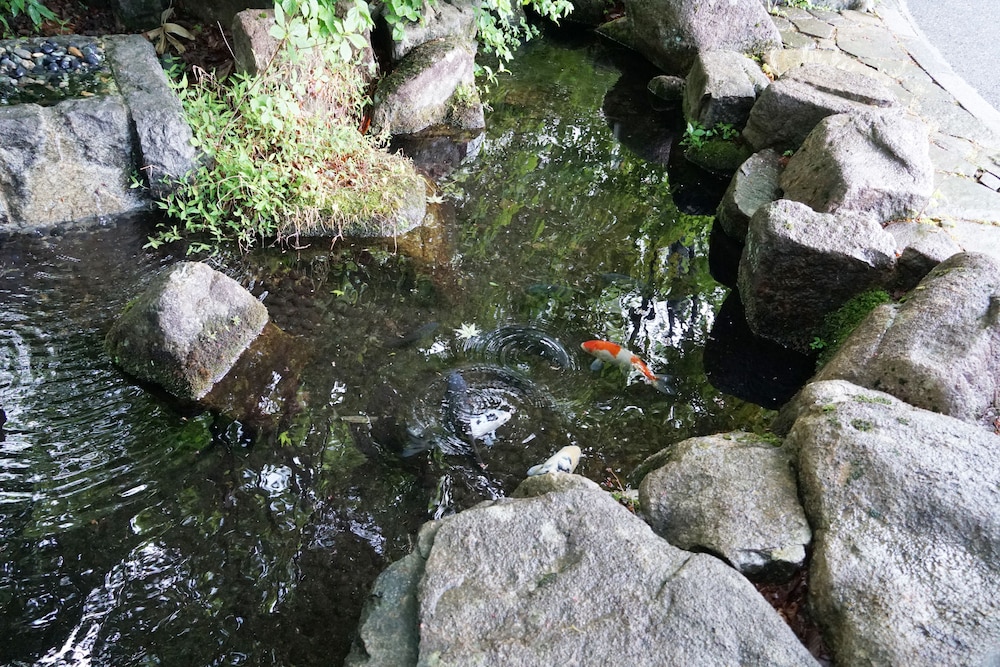 ブランヴェール那須 日光