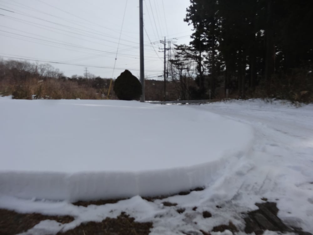 ガストホフ アルタニー 日光