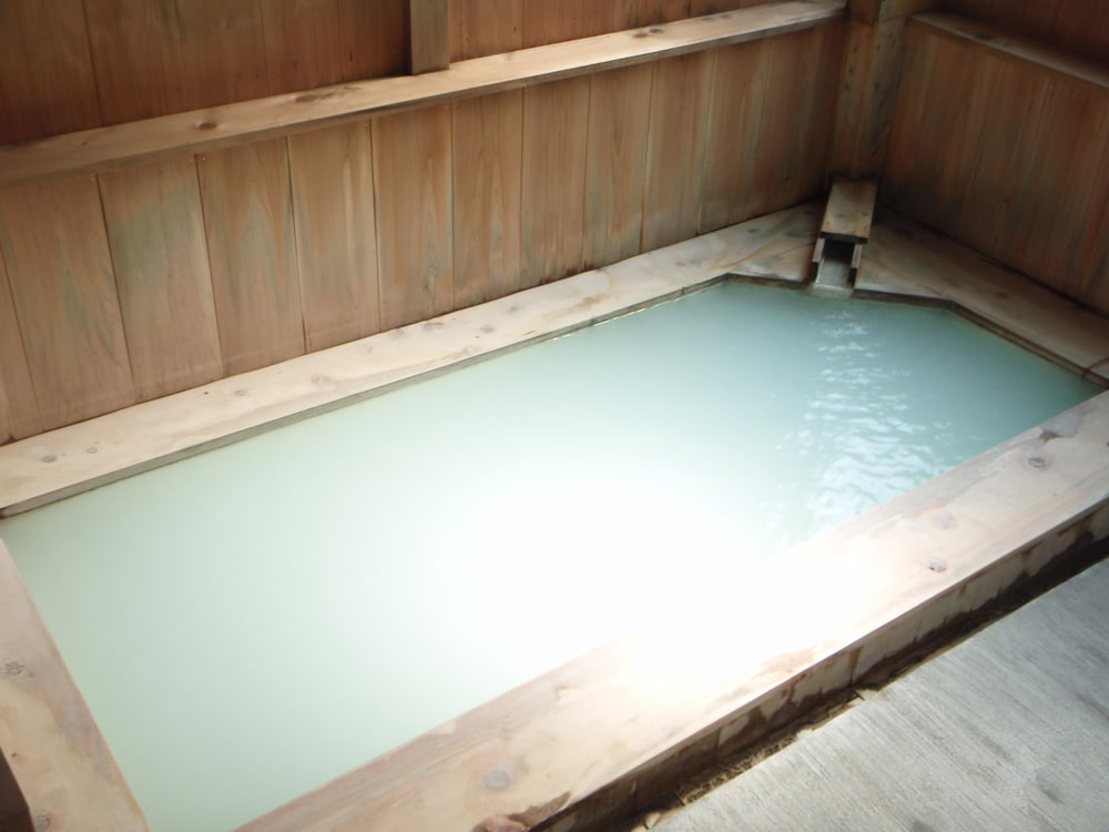 秘湯の宿　元泉館 日光