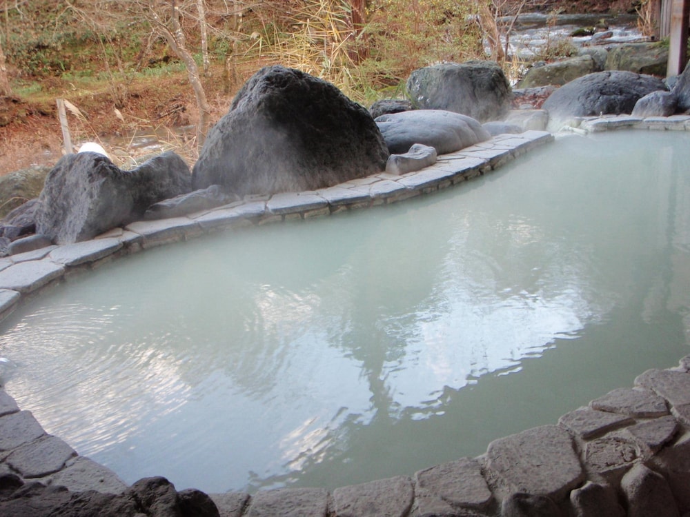 秘湯の宿　元泉館 日光