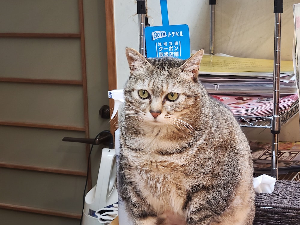 赤沢温泉旅館 日光