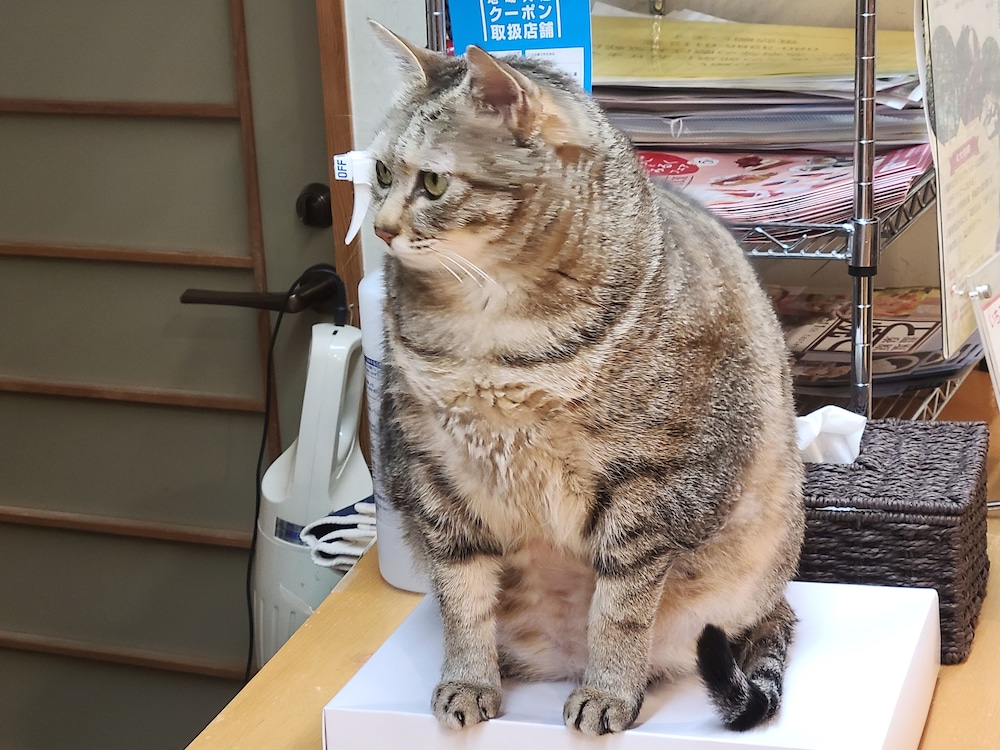 赤沢温泉旅館 日光