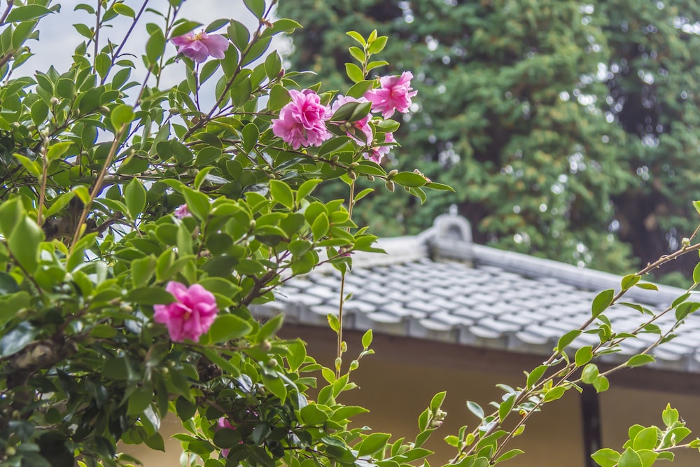宇都宮グランドホテル 日光