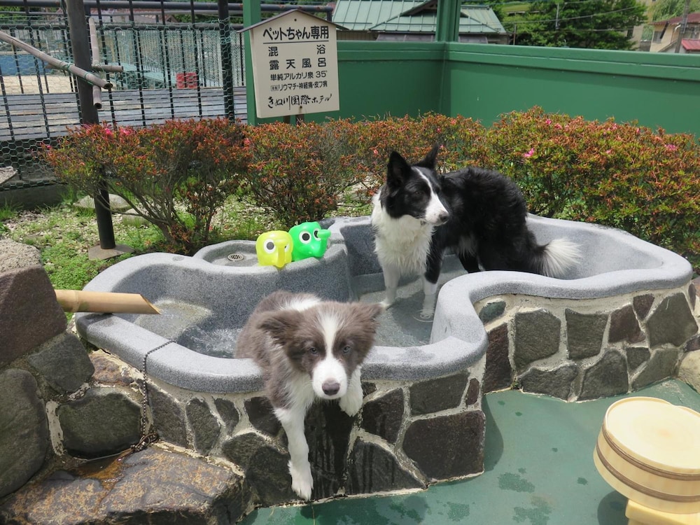 きぬ川 国際 ホテル 日光