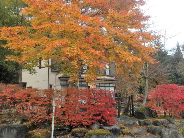 素泊まり民宿 緑庵 日光