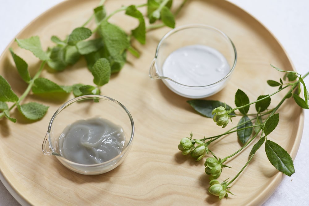 星野リゾート リゾナーレ那須 日光