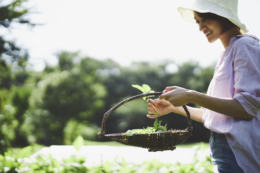 星野リゾート リゾナーレ那須 日光