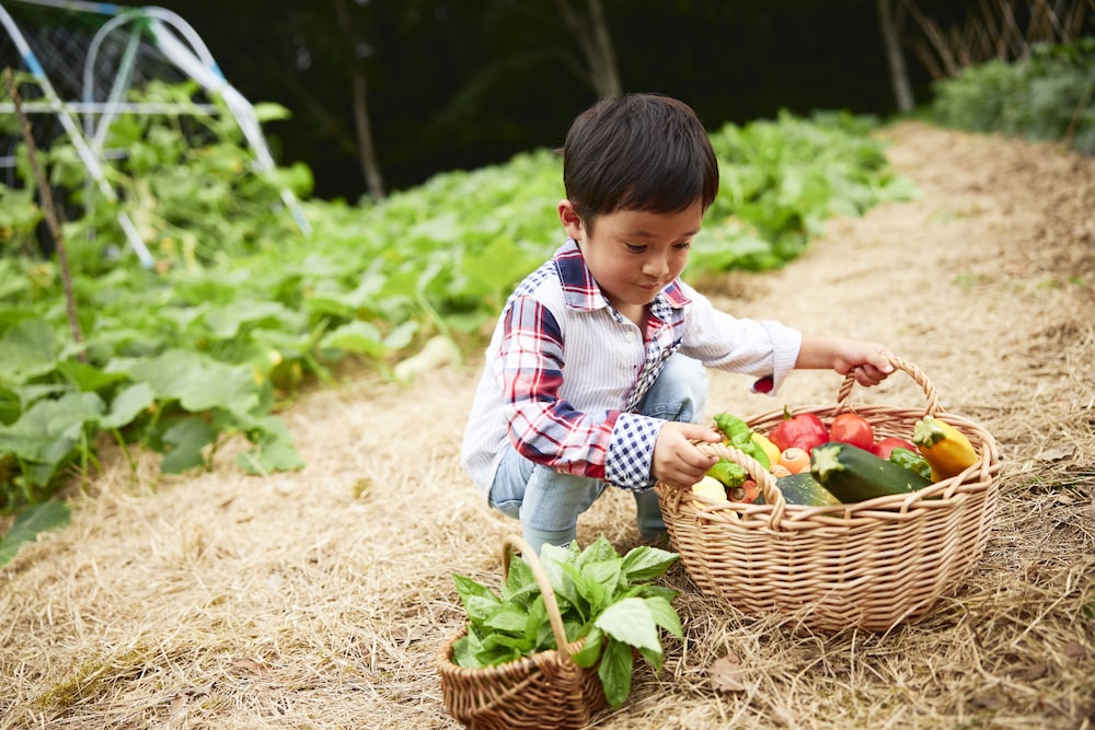 星野リゾート リゾナーレ那須 日光