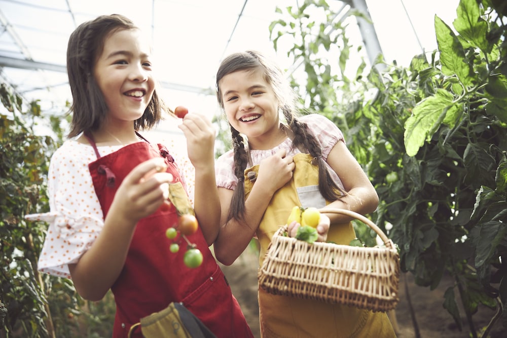 星野リゾート リゾナーレ那須 日光