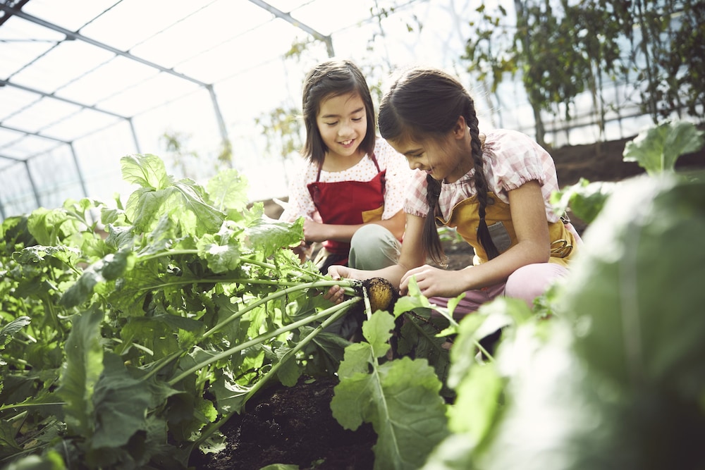 星野リゾート リゾナーレ那須 日光