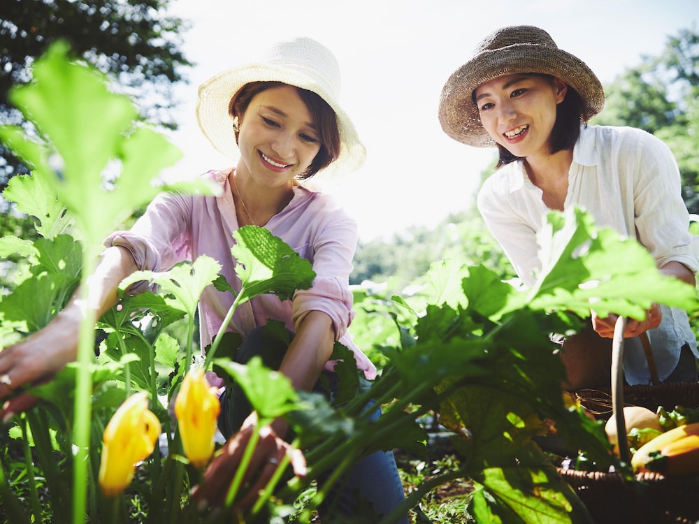 星野リゾート リゾナーレ那須 日光
