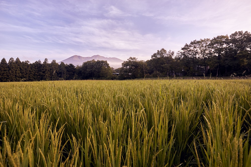 星野リゾート リゾナーレ那須 日光