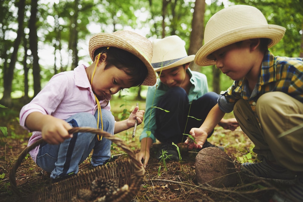 星野リゾート リゾナーレ那須 日光