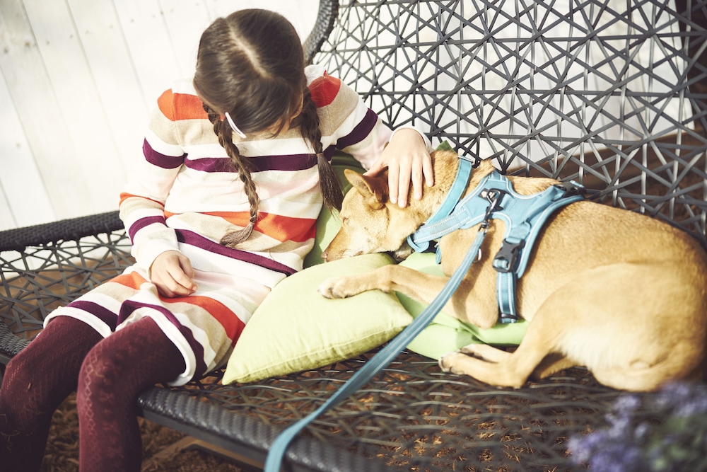 星野リゾート リゾナーレ那須 日光