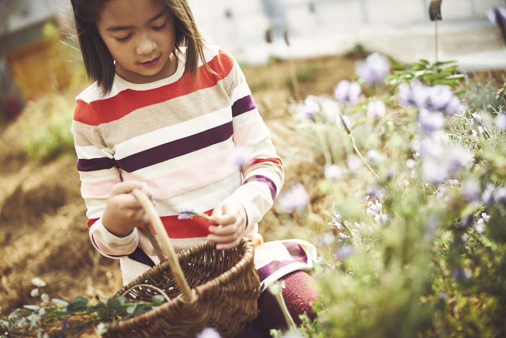 星野リゾート リゾナーレ那須 日光