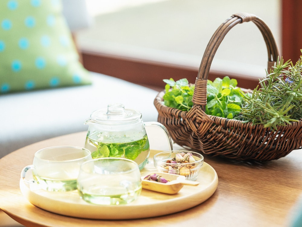 星野リゾート リゾナーレ那須 日光