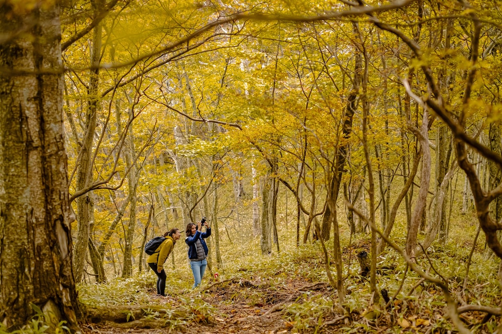 ザ・リッツ・カールトン日光 日光