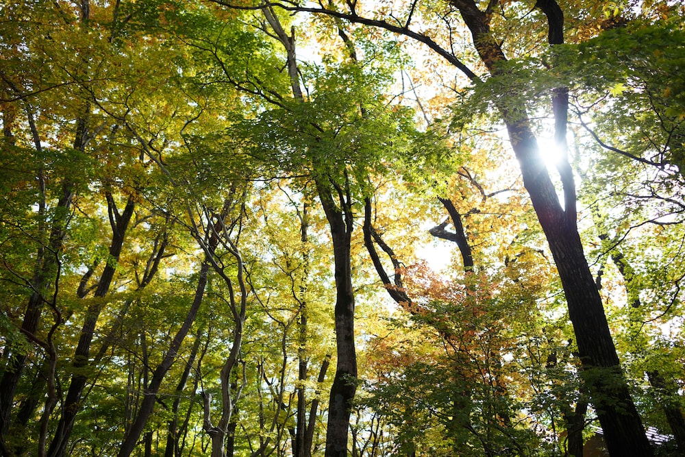 那須別邸 回 日光