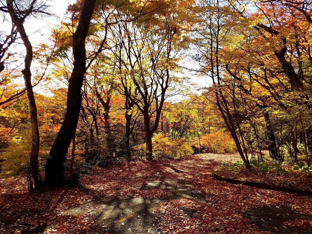那須別邸 回 日光