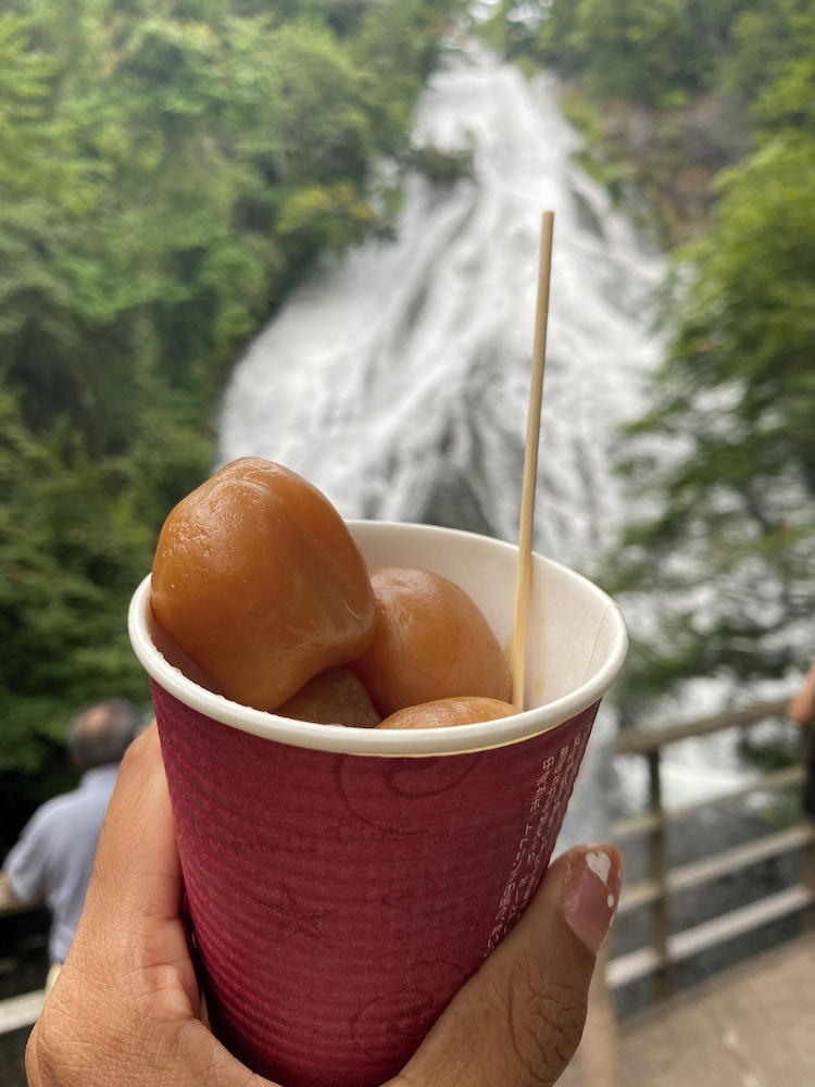 旅籠なごみ 日光