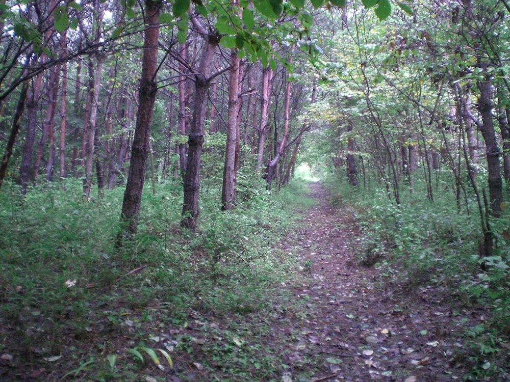 柿農園 日光