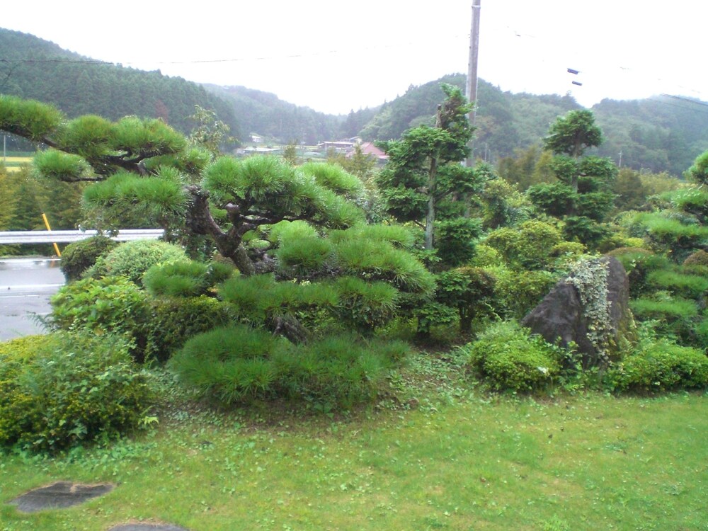 柿農園 日光