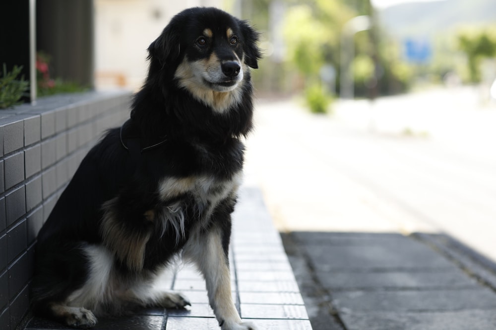 鬼怒川クラブ ホテル 錦泉閣 日光