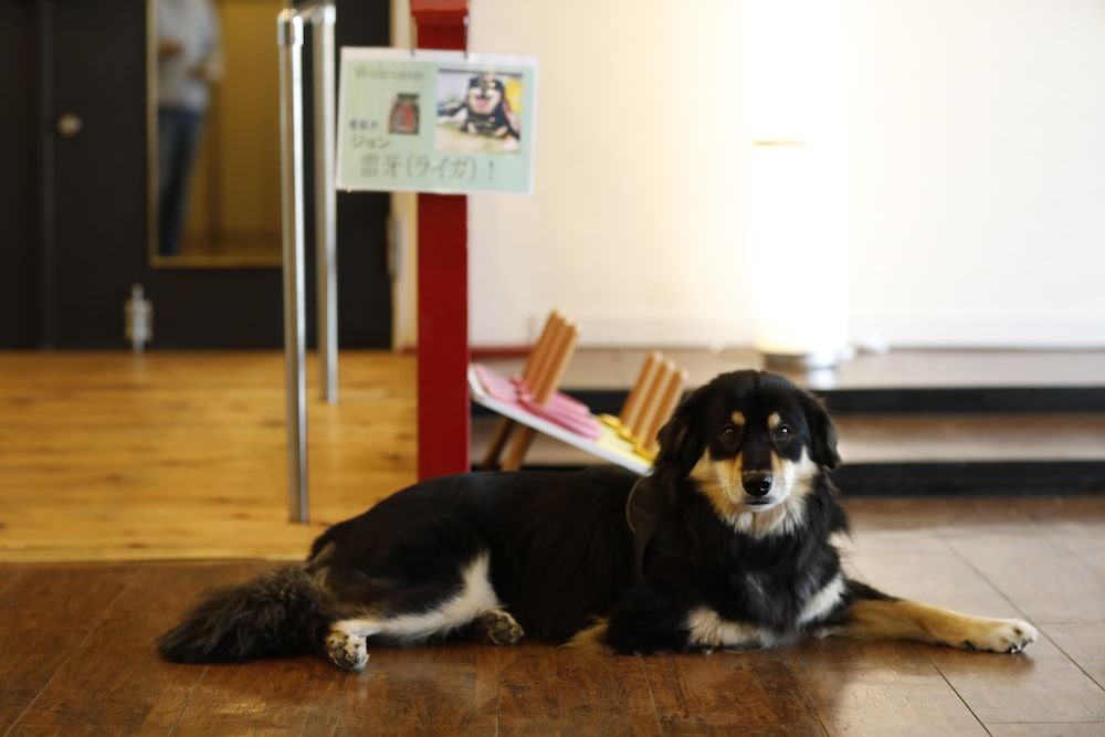 鬼怒川クラブ ホテル 錦泉閣 日光