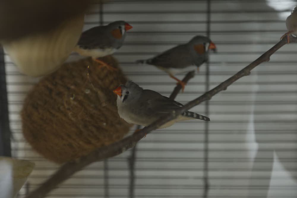 鬼怒川クラブ ホテル 錦泉閣 日光