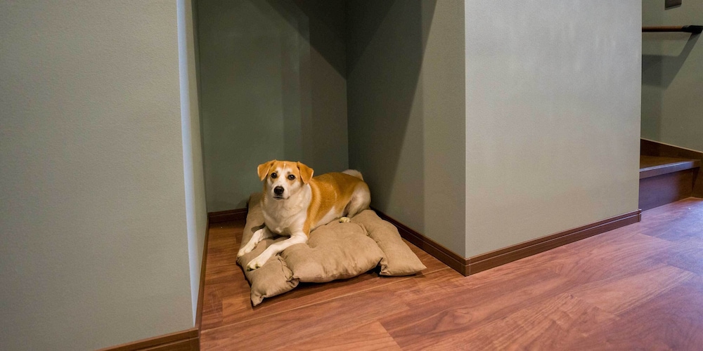 RAKUTEN STAY VILLA 那須 日光