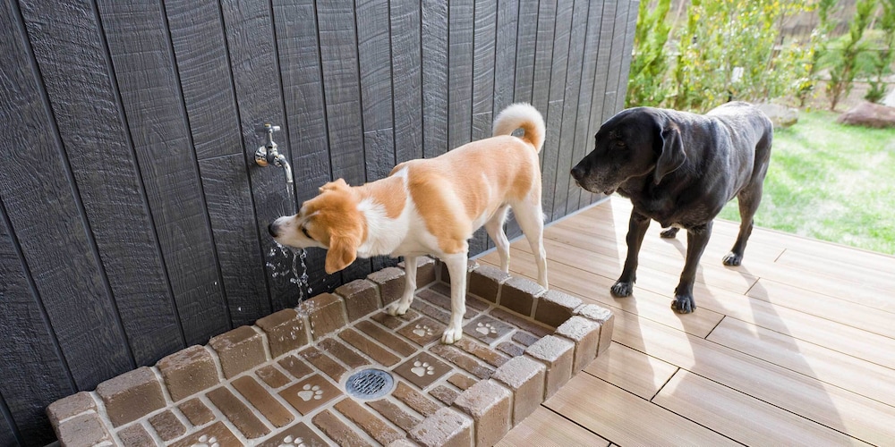 RAKUTEN STAY VILLA 那須 日光