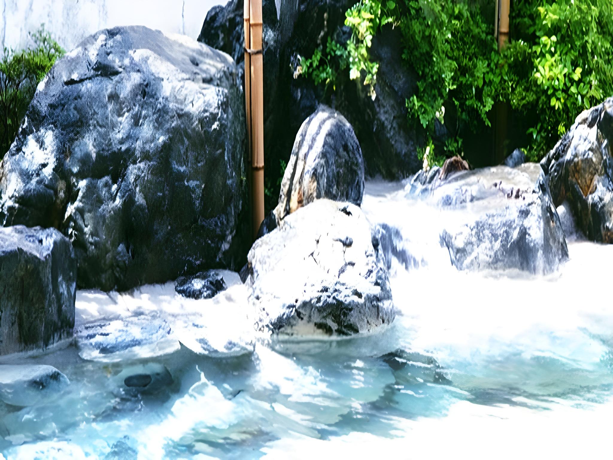 南平台温泉ホテル 日光