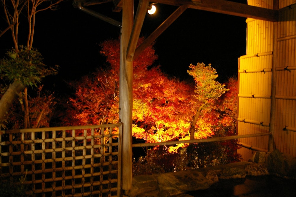 宮田屋旅館 前橋