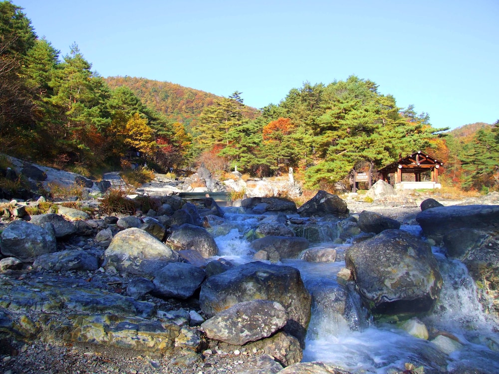 草津温泉 ホテル櫻井 前橋