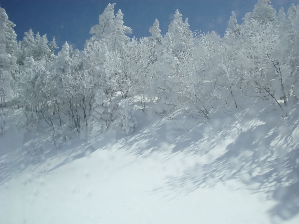 水上温泉郷 谷川温泉 やど莞山 前橋