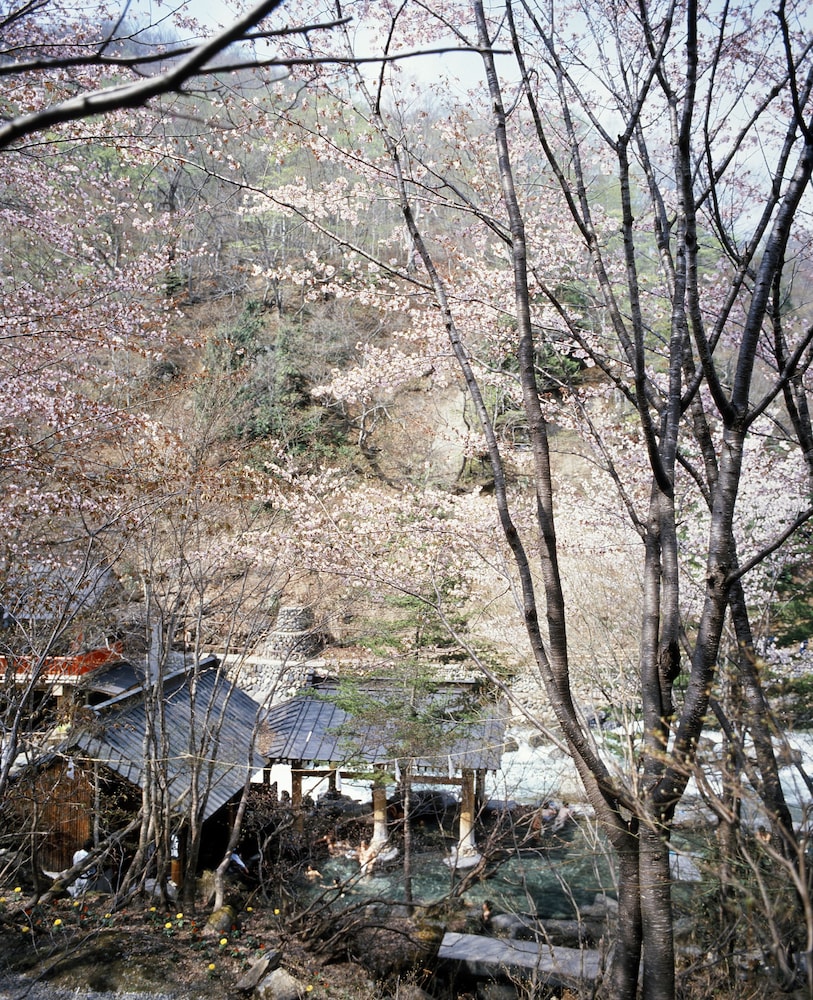 宝川温泉 汪泉閣 前橋