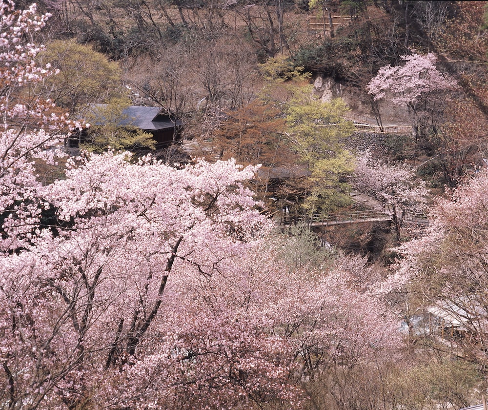 宝川温泉 汪泉閣 前橋