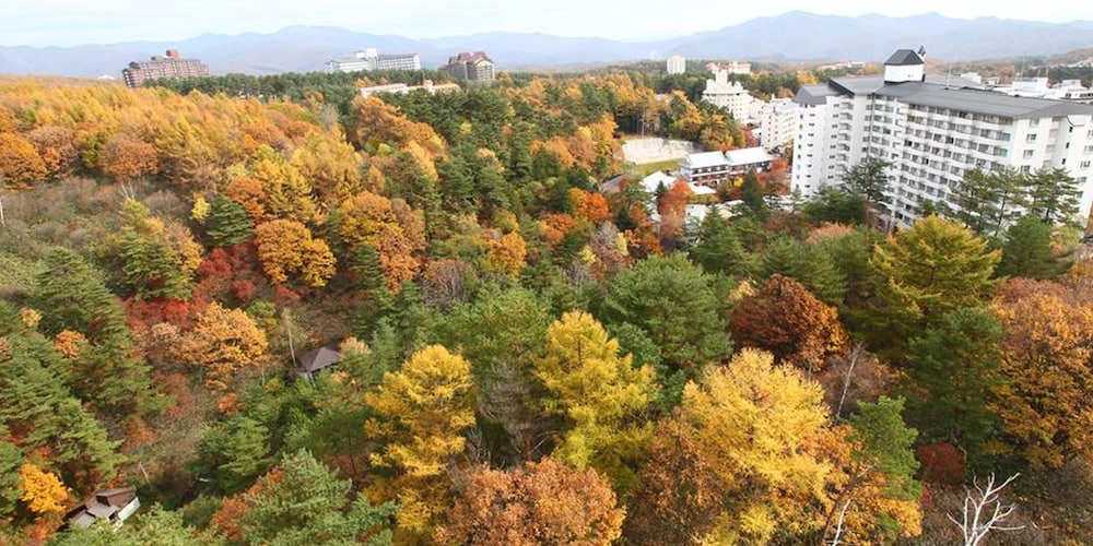 草津温泉 ホテルニュー紅葉 前橋