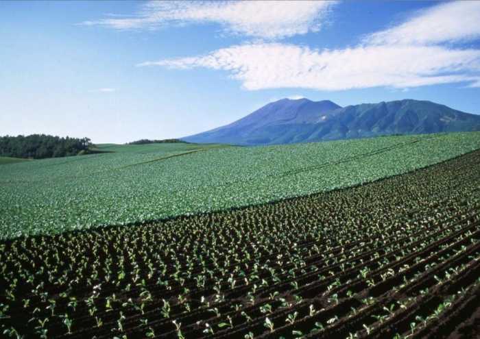 休暇村 嬬恋鹿沢 前橋