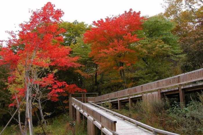 休暇村 嬬恋鹿沢 前橋