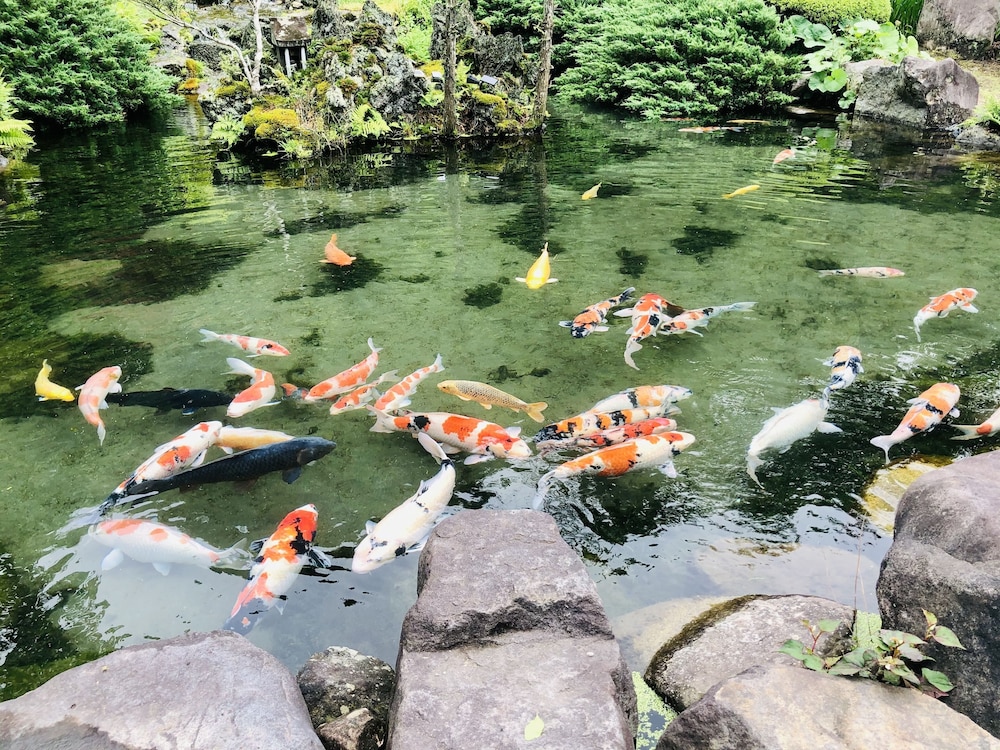 瀧澤禅寺 前橋